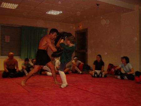 2003